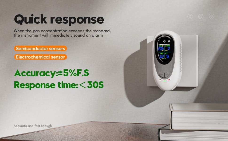 Gas Carbon Monoxide Temperature And Humidity Alarm (4)