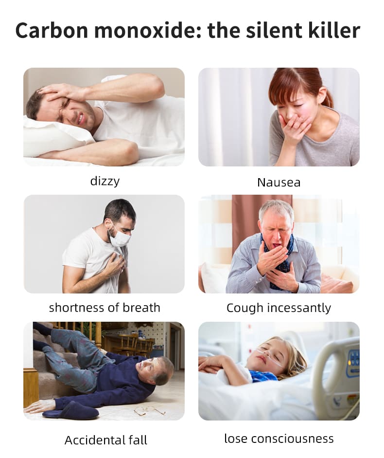 PGC10 Battery Power Carbon Monoxide Alarm (5)