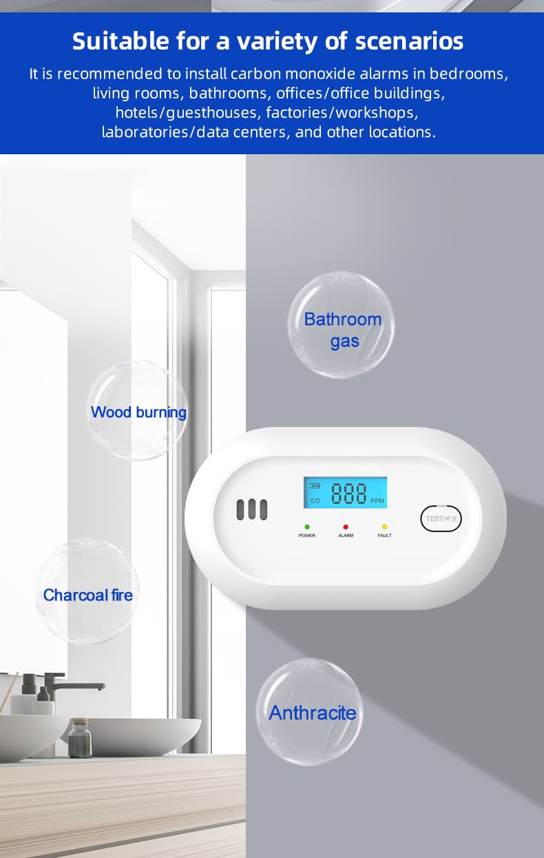 PGC10 Battery Power Carbon Monoxide Alarm (7)