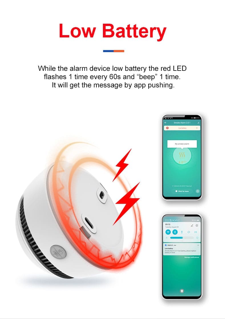 PGS08 Smoke Alarm (8)