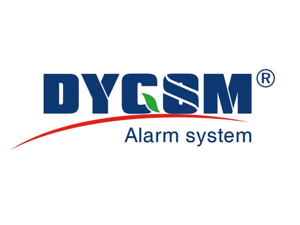 DYGSM